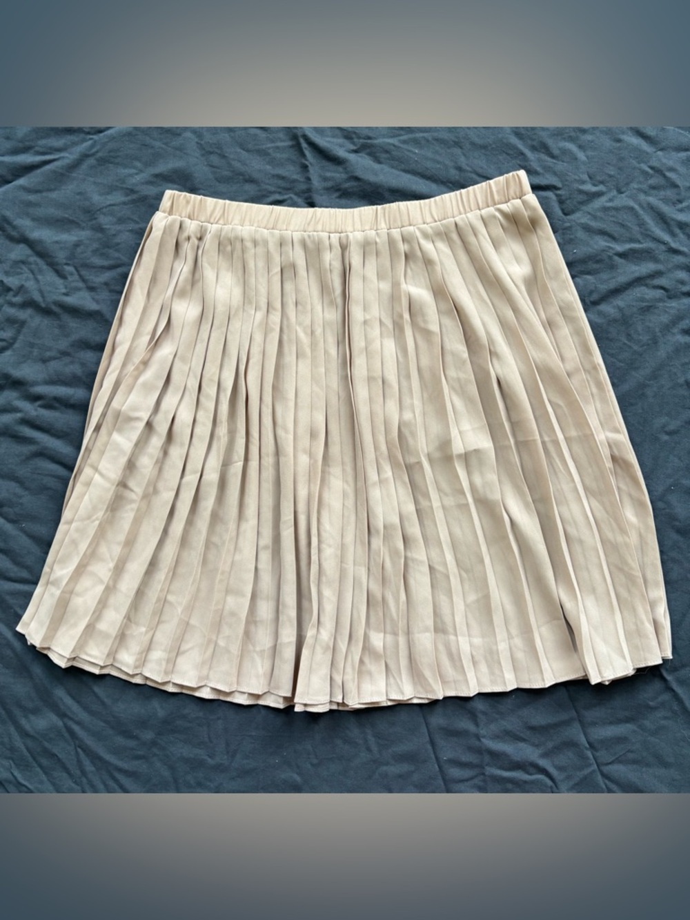 NWT Max Studio Beige Pleated Skirt